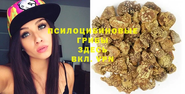 тгк Алзамай