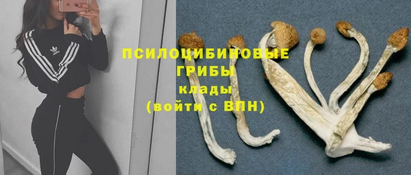 героин Алексин